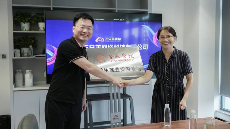 合肥网络服务